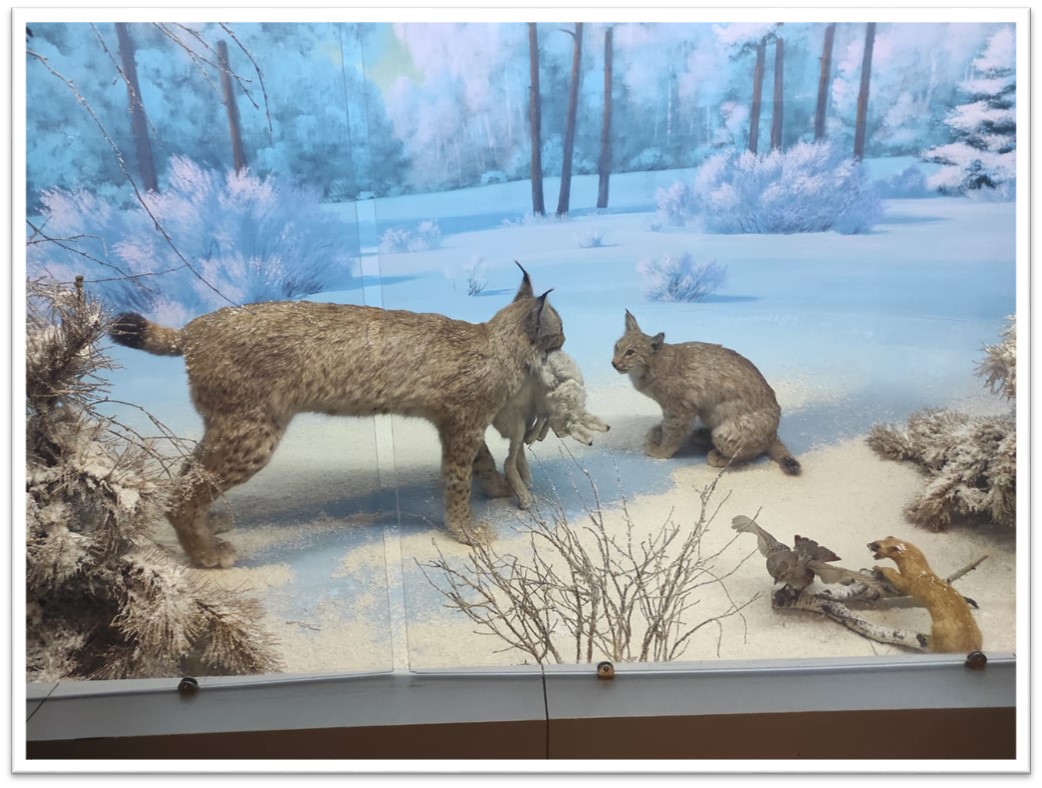 Рисунок8